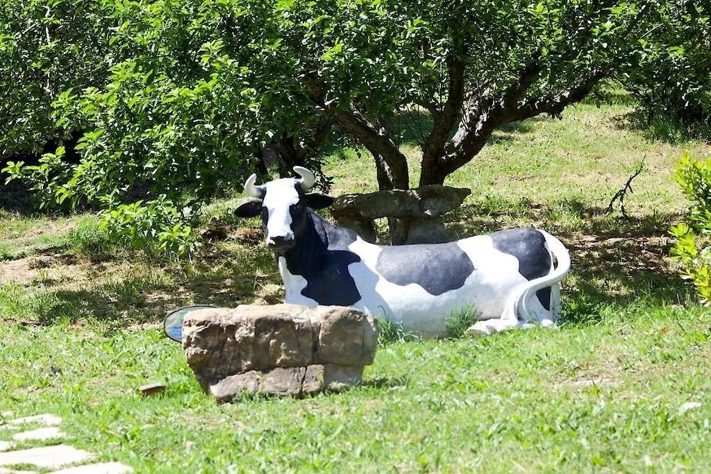 Holiday home Villa Ginestra A 