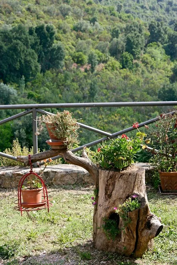 Holiday home Villa Ginestra A 